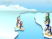 pingvines - Penguin families