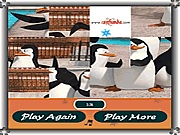 pingvines - Penguin photo puzzle