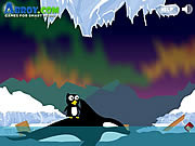 Peter the penguin pingvines jtkok