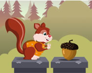 Fun with squirrels online